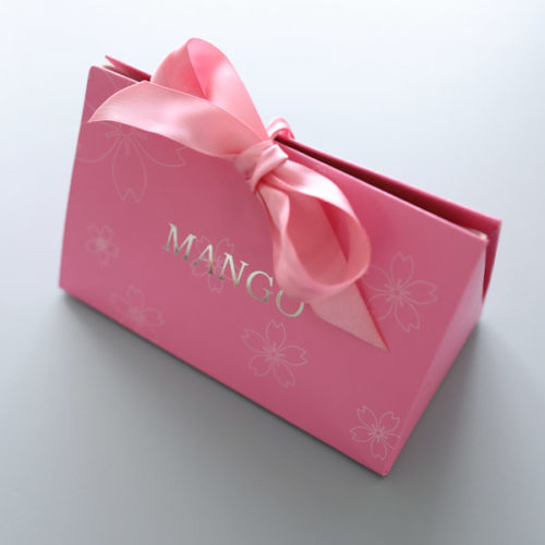 Cute Gift Box with Ribbon 1