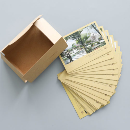 Card Packaging Kraft Box 2